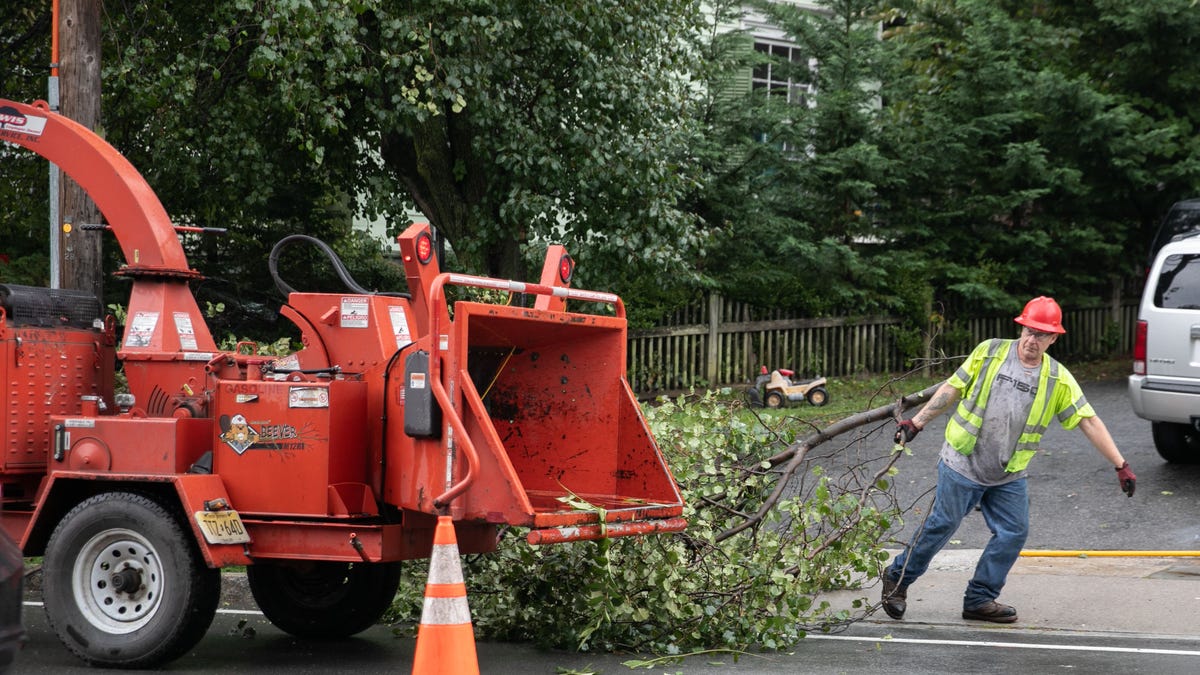 Lewis Tree Service In Newburgh Ny On September 28 2021