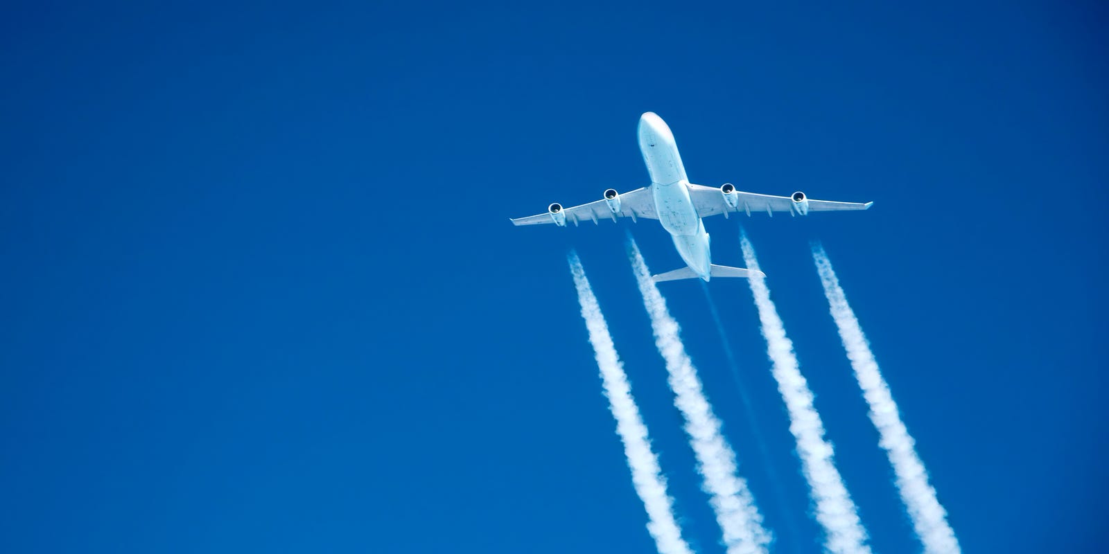 Lawmakers want Biden to make domestic flights require vaccination or a negative test ahead of the holidays Lawmakers want Biden to make domestic flights require vaccination or a negative test ahead of the holidays
