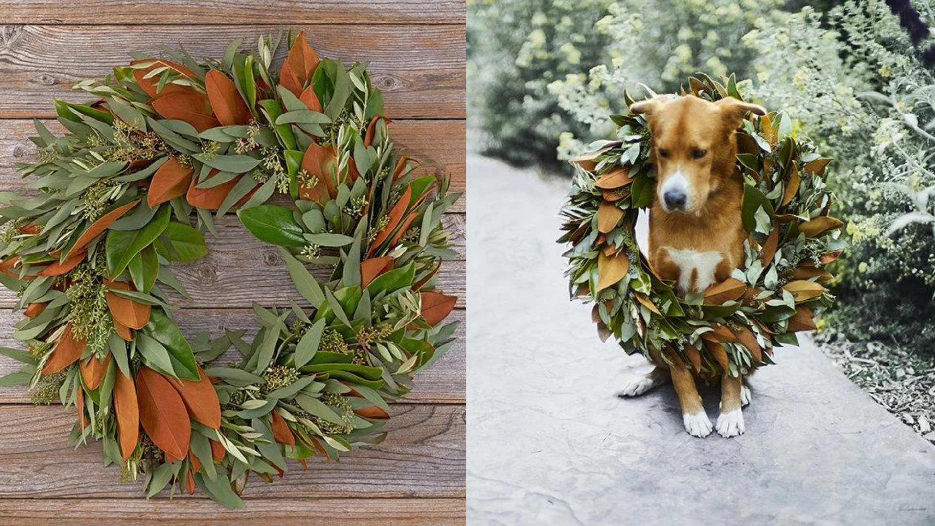 If you're someone who's excited for the arrival of holiday season, great news: this wreath can also be used throughout the fall.