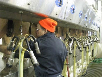 The survey consisted of 903 Grade A and B dairy producers in Iowa and was part of a research effort coordinated by Jennifer Bentley, Fred Hall and Larry Tranel, dairy specialists with Iowa State University Extension and Outreach.
