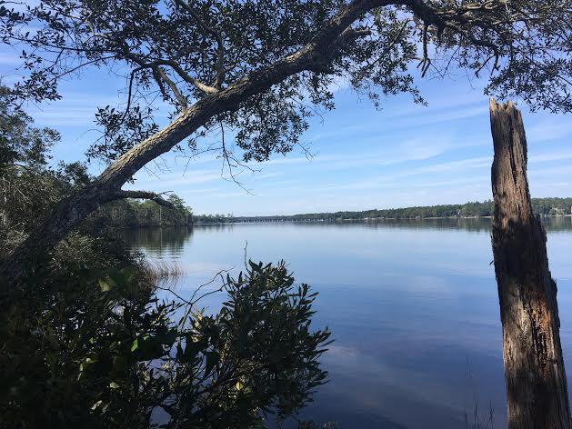 Veterans day closures el paso