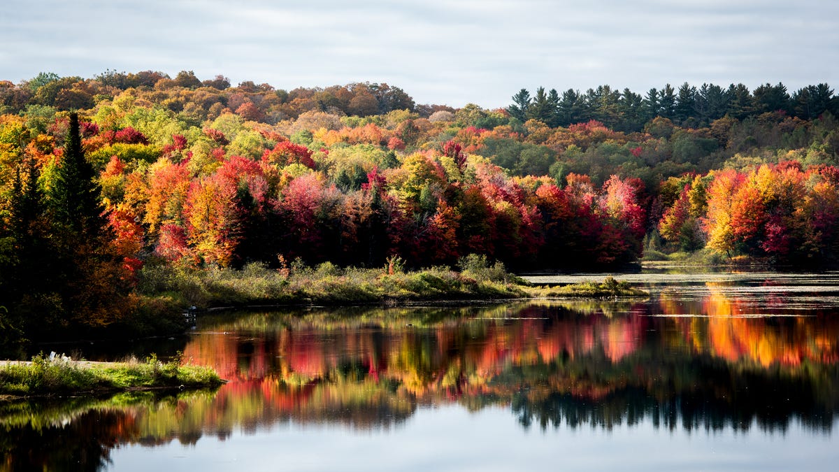 Fall colors begin to peak around the Forestport Reservoir on Wednesday, Oct. 6 in Forestport. The reservoir can be seen off of Route 28 and Woodhull Rd.