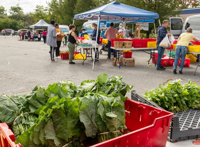 WORCESTER - Greens are for sale at the Flats Mentor Farm table during the Beaver Brook Farmers Market on Chandler Street Friday, October 8, 2021. [Rick Cinclair/Telegram & Gazette]