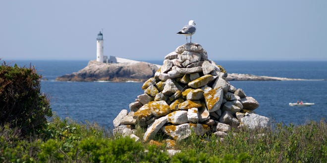 In this photo taken from Star Island in Rye, N.H.  June 24, 2013 a seagull is perched of a rock pile overlooking the lighthouse on the Isles of Shoals, White Island. Since the English explorer Captain John Smith spotted the islands just under 400 years ago, the cluster of nine small islands, five in Maine, four in New Hampshire, have evolved from rough-and-tumble 17th century fishing outpost to posh Victorian-era vacation destination. (AP Photo/Holly Ramer) ORG XMIT: CON203