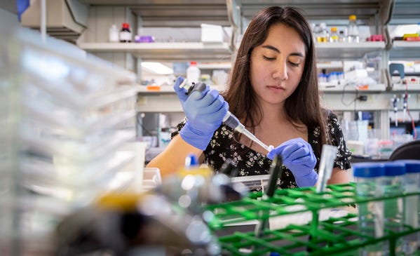 Clarissa Nunez, an undergraduate biochemistry major at NMSU, interned this summer in the research lab of Dr. Taran Gujral at Fred Hutch. Gujral’s lab studies signaling networks to advance drug discovery and uses for cancer treatment.