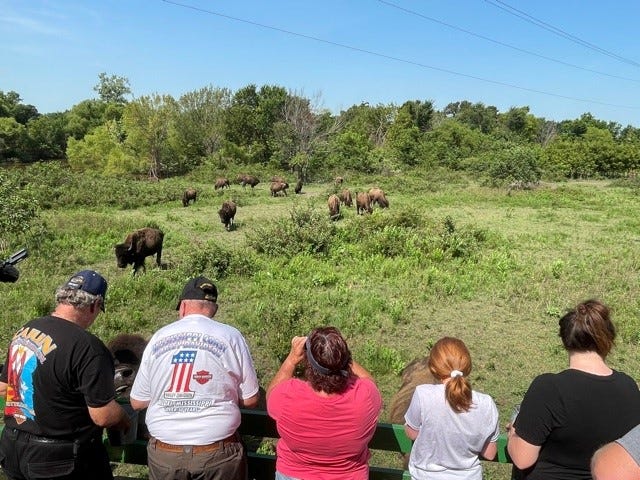 A group watches bison at Old West Buffalo Co. in Pawhuska.