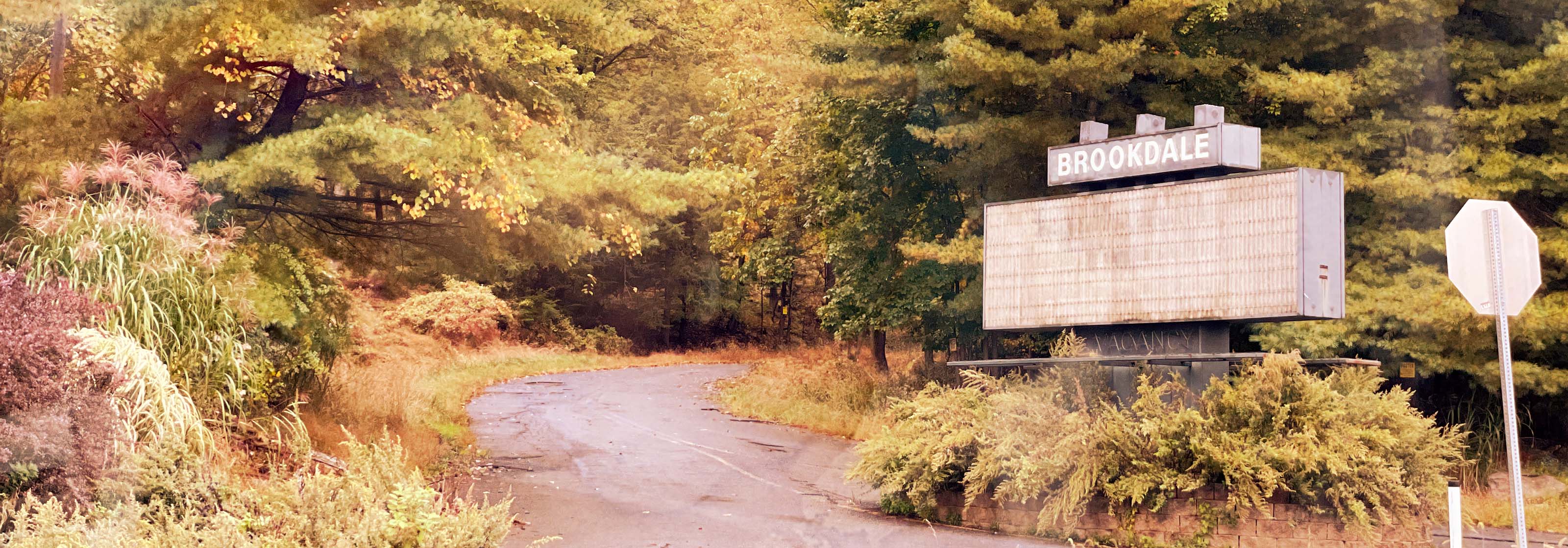Brookdale Road along Route 611 in Scotrun is still a public roadway, but an old sign marking an entrance to the former resort, as well as the pavement itself, are untended to and deteriorating.