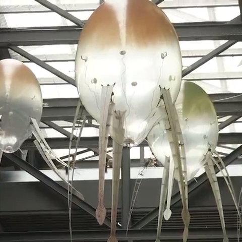 A new art installation uses floating machines to c