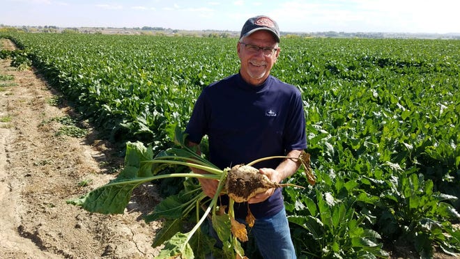 Longmont farmer Paul Schlagel displays one of his beets.