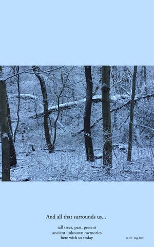 "Bathing in a Winter Forest," an exhibit of photographs with accompanying haiku poems by Suzy Vance, will be on display through Oct. 30, at The Depot Museum and Art Gallery in Beverly Shores.