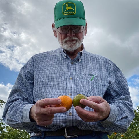 68 year-old citrus grower Peter Spyke of Arapaho C