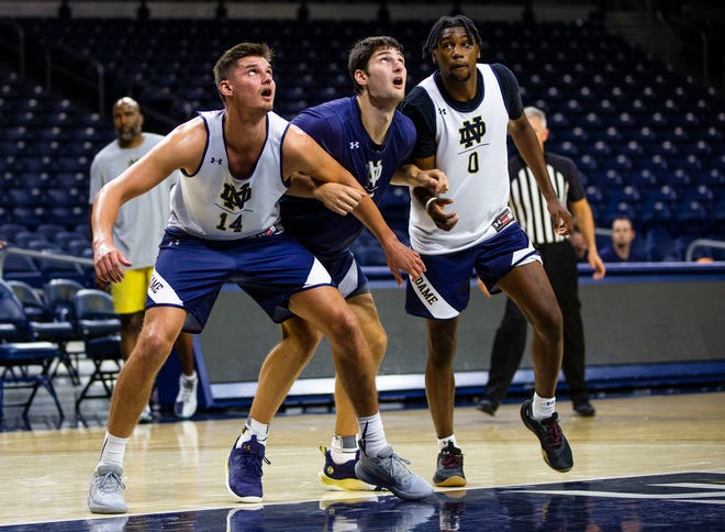 Notre Dame's Nate Laszewski (14) Cormac Ryan (5) and Blake Wesley (0) fight for positioning during men's basketball media day Wednesday, Oct. 13, 2021 at Purcell Pavilion in South Bend.