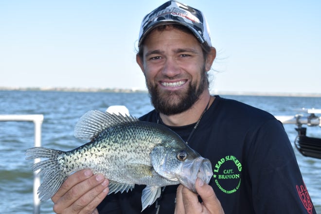 Lake Ray Hubbard guide Brandon Sargent with one of many barndoor crappie landed earlier this week.