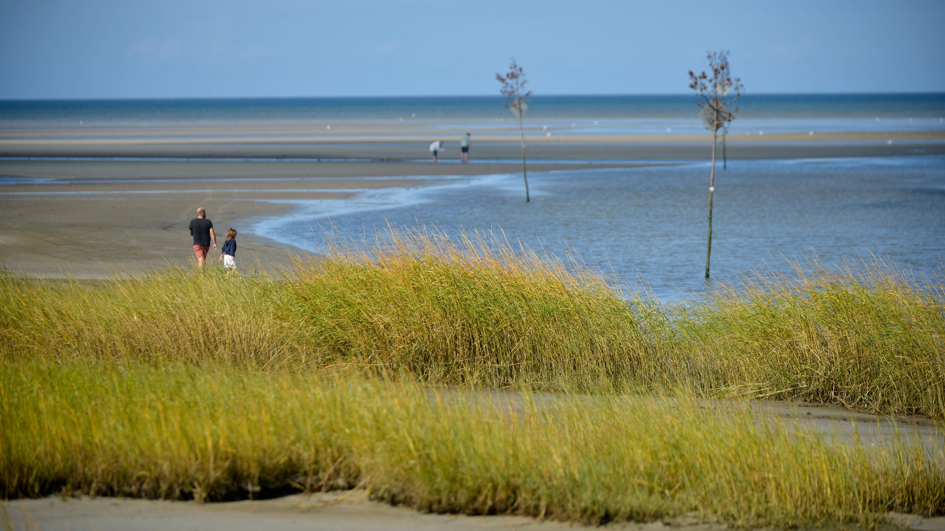 Cape Cod tourism grant money targeting Sept. 1 deadline with bill