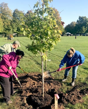 Volunteers gathered Saturday to plant trees at Sturgis Memorial Gardens and Oak Lawn Cemetery, through a city partnership with ReLeaf Michigan.
