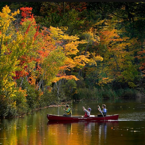 A passenger on a canoe photographs the brilliant f