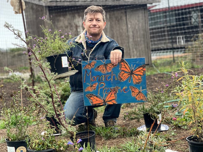 At Orville Schell Farms, owner Ole Schell wants to help revitalize the butterfly population by creating a monarch sanctuary on the property just north of San Francisco in Bolinas, California.