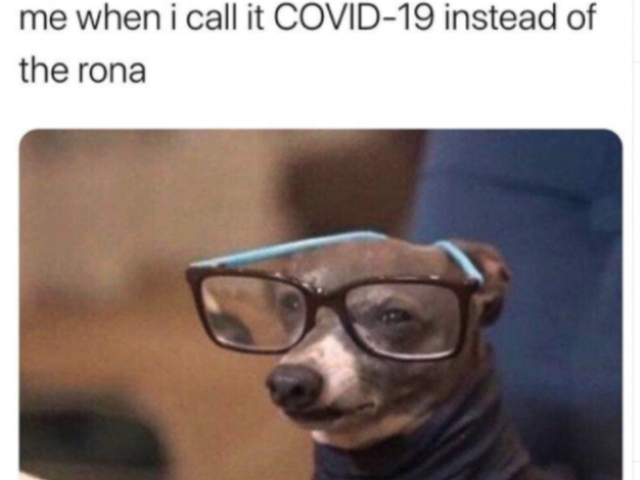 Covid Memes Decrease Stress Help Us Cope With The Pandemic Study