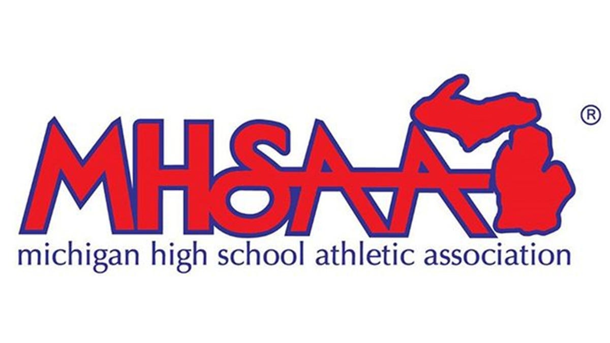 Boys volleyball, girls field hockey joining MHSAA’s listing of sports
