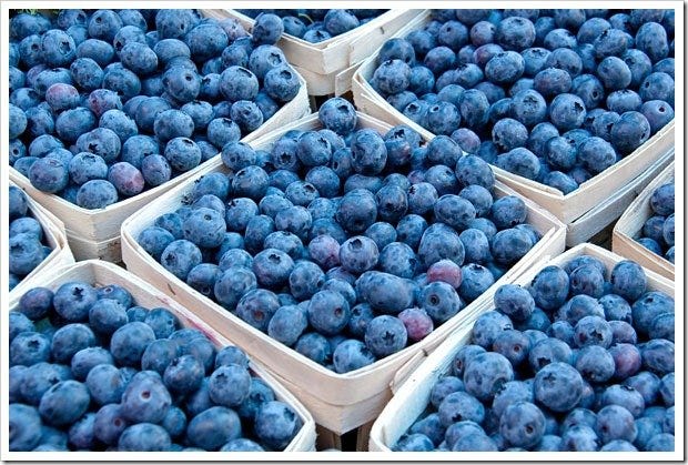 Fresh-picked blueberries will be available this weekend at the Whitesbog Village Blueberry Festival.
 File photo
Fresh-picked blueberries fill containers at DiMeo Fruit Farms.