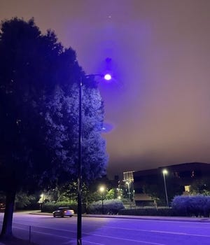 This photo, submitted by a reader, shows one on West Washington Street with a purple streetlight in contract to the yellow light of other lamps around it.