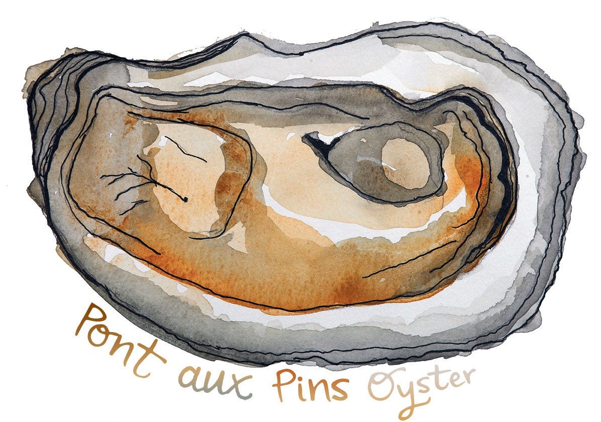 Pont aux Pins oyster