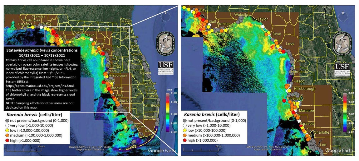 Red Tide Map Sanibel Red Tide In Sarasota And Manatee Counties Remains Patchy And Stubborn