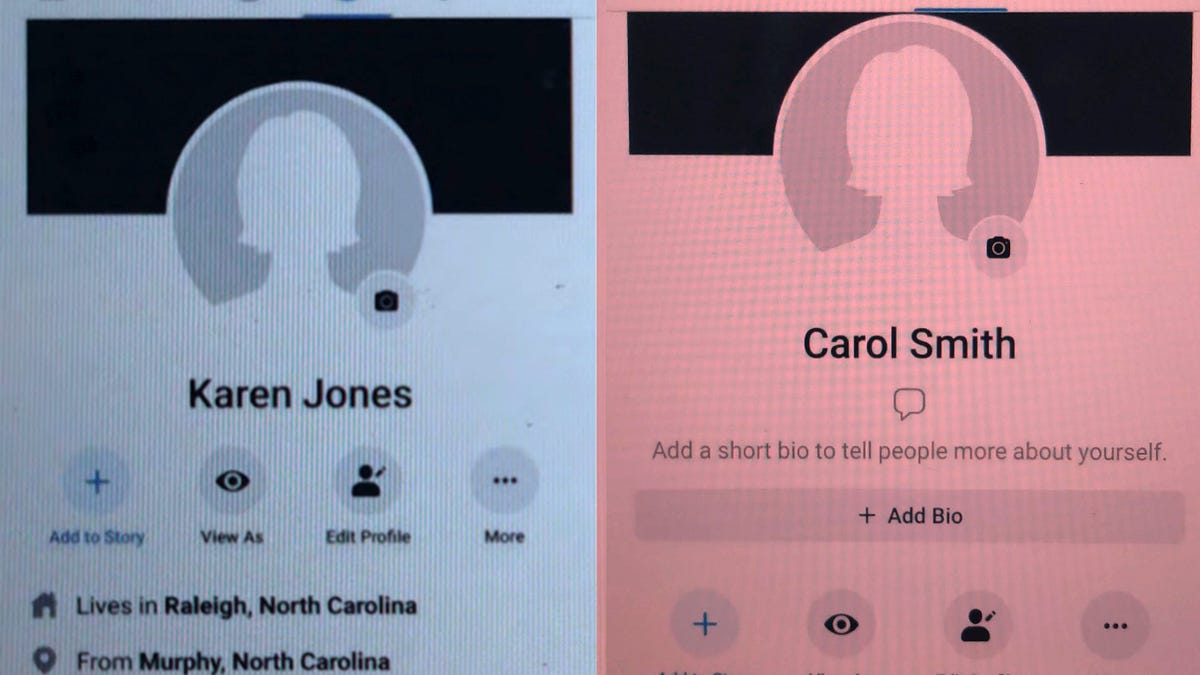 The story of Carol and Karen: Two experimental Facebook accounts show how the company helped divide America