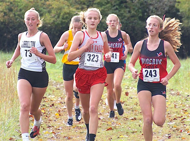 Tuscarawas County high school cross country teams at district races