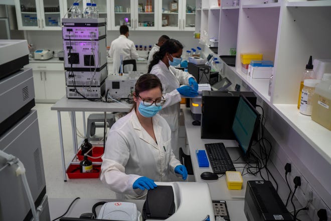 Scientists conduct research at an Afrigen Biologics and Vaccines lab in Cape Town, South Africa, Tuesday Oct. 19, 2021.