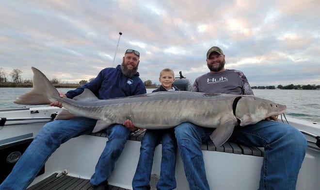 From left: Roger Sampier II, Roger Sampier III and Todd Paterson pose with an 80-inch sturgeon that Sampier III caught in the St. Clair River on Tuesday, Oct. 12, 2021.
