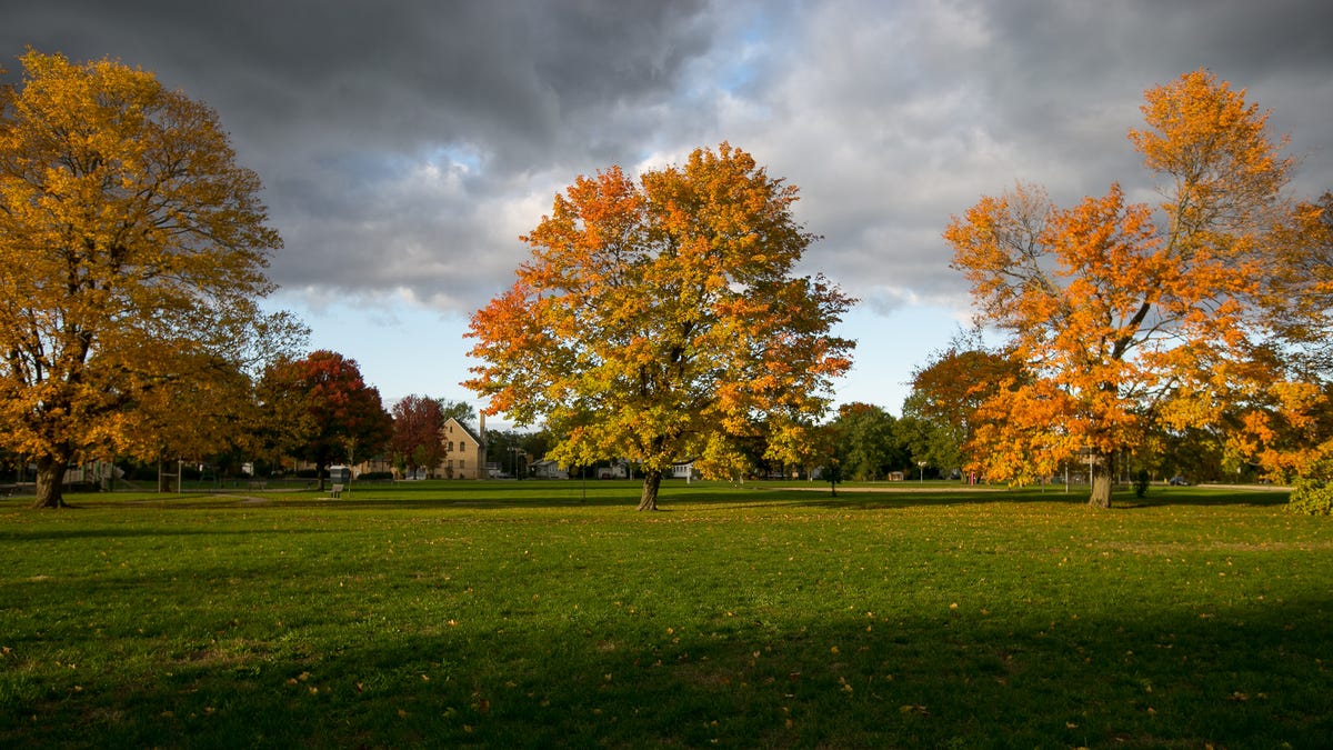 When’s the best time to see fall colors in Illinois from Rockford to Carbondale When’s the best time to see fall colors in Illinois from Rockford to Carbondale