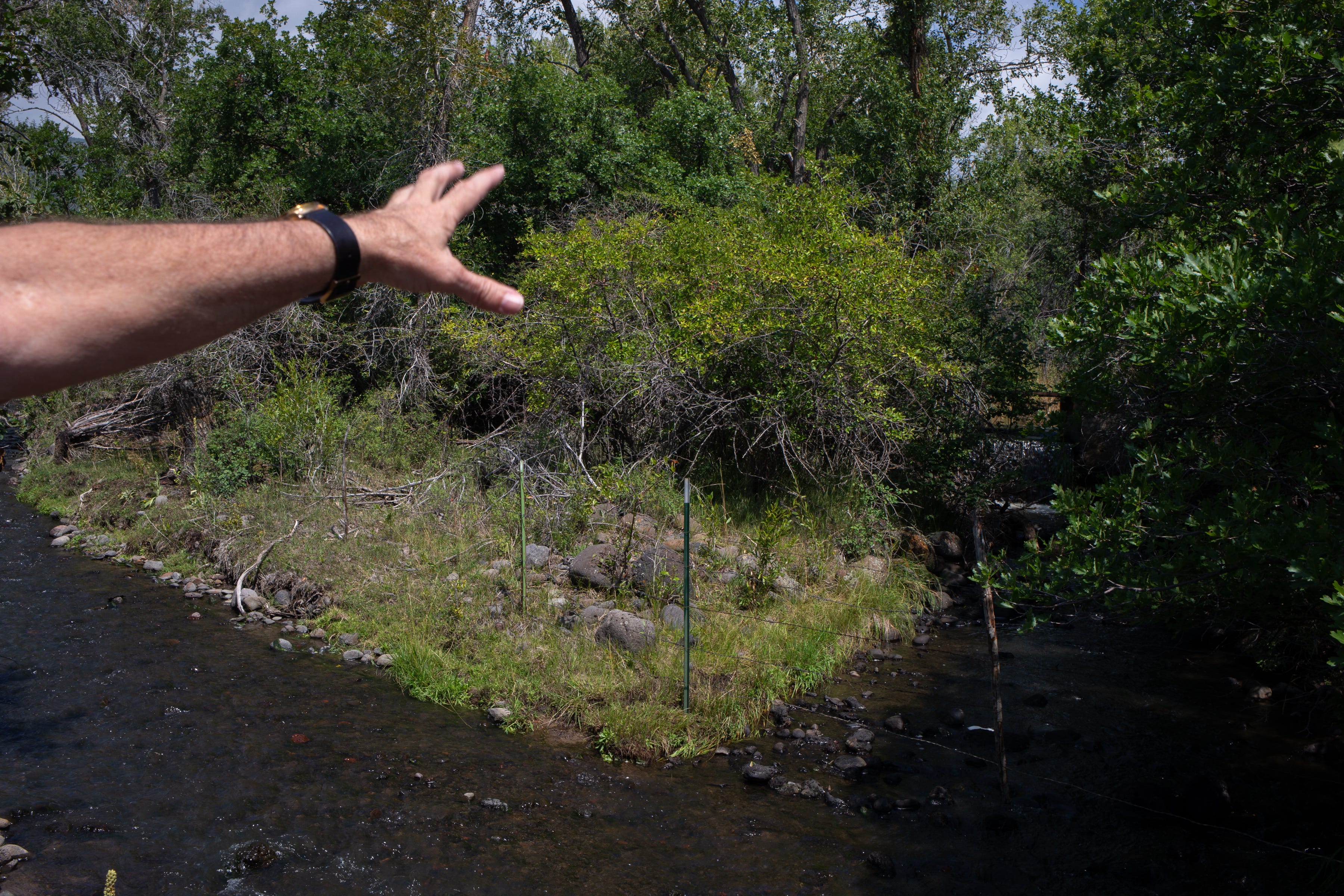 Lead water Commissioner James Holiman at the confluence of Kiser Creek (right) and Big Ditch (left) on Aug. 20, 2021, north of Cedaredge, Colorado.