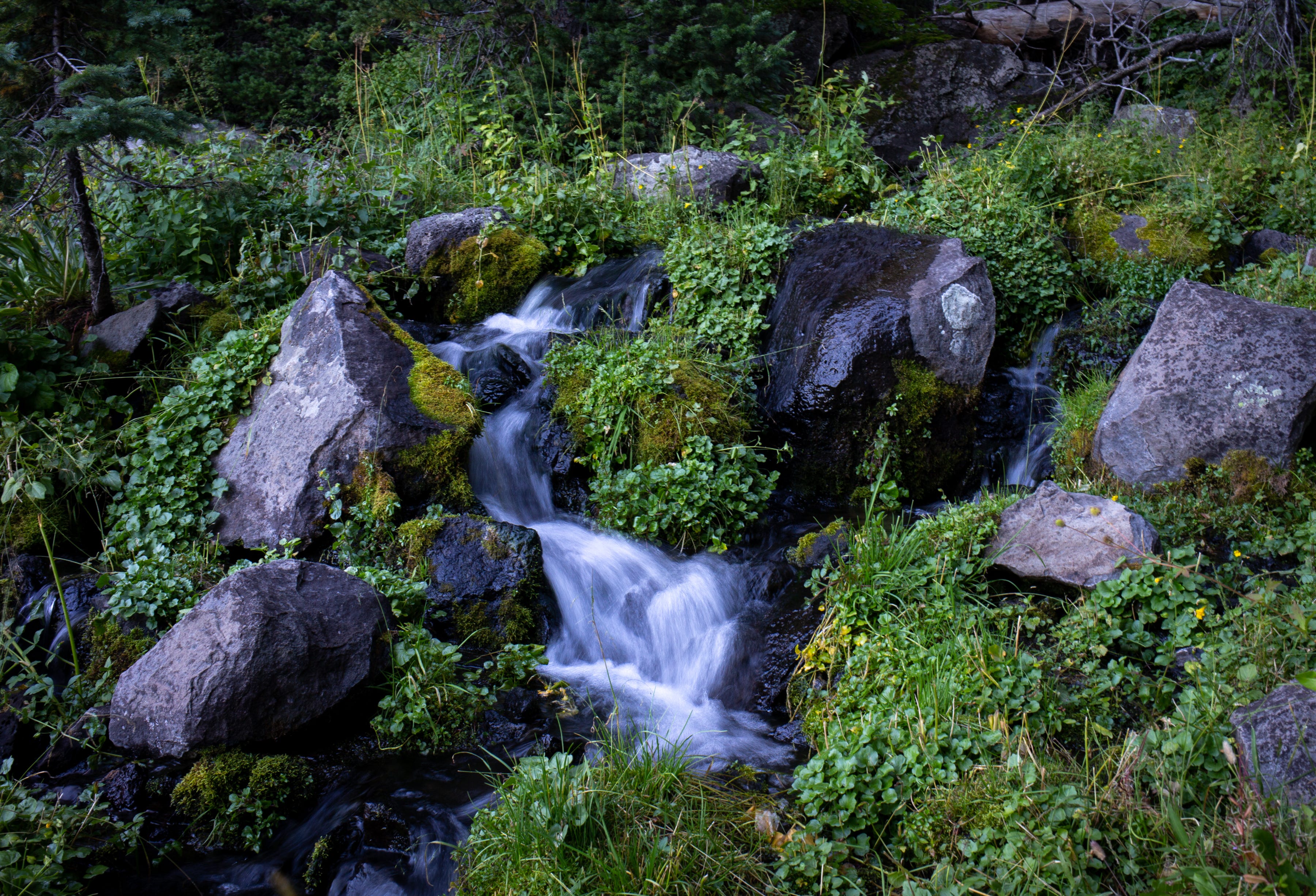 The headwaters of Surface Creek flow down the Grand Mesa National Forest in western Colorado on Aug. 22, 2021.