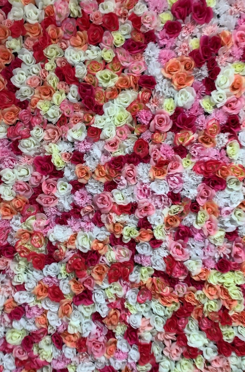 Milwaukee Daq Shack daiquiri bar with frozen drinks, selfie room opens