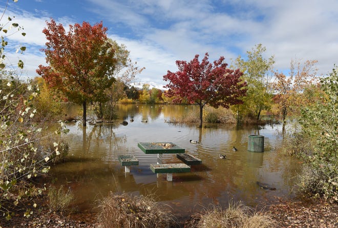 Duck swim on the west side picnic area of Teglia's Paradise Park on Oct. 26, 2021. The park is flooded from the two-day rain storm.