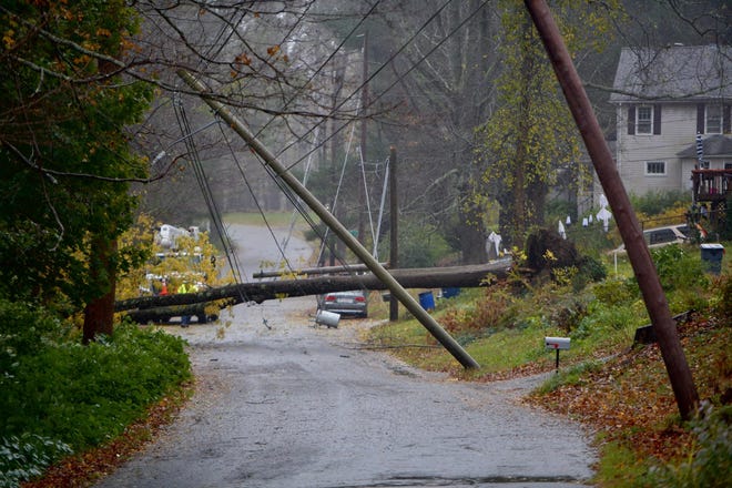A toppled tree took down wires on Willow Hill Road in Leicester.
