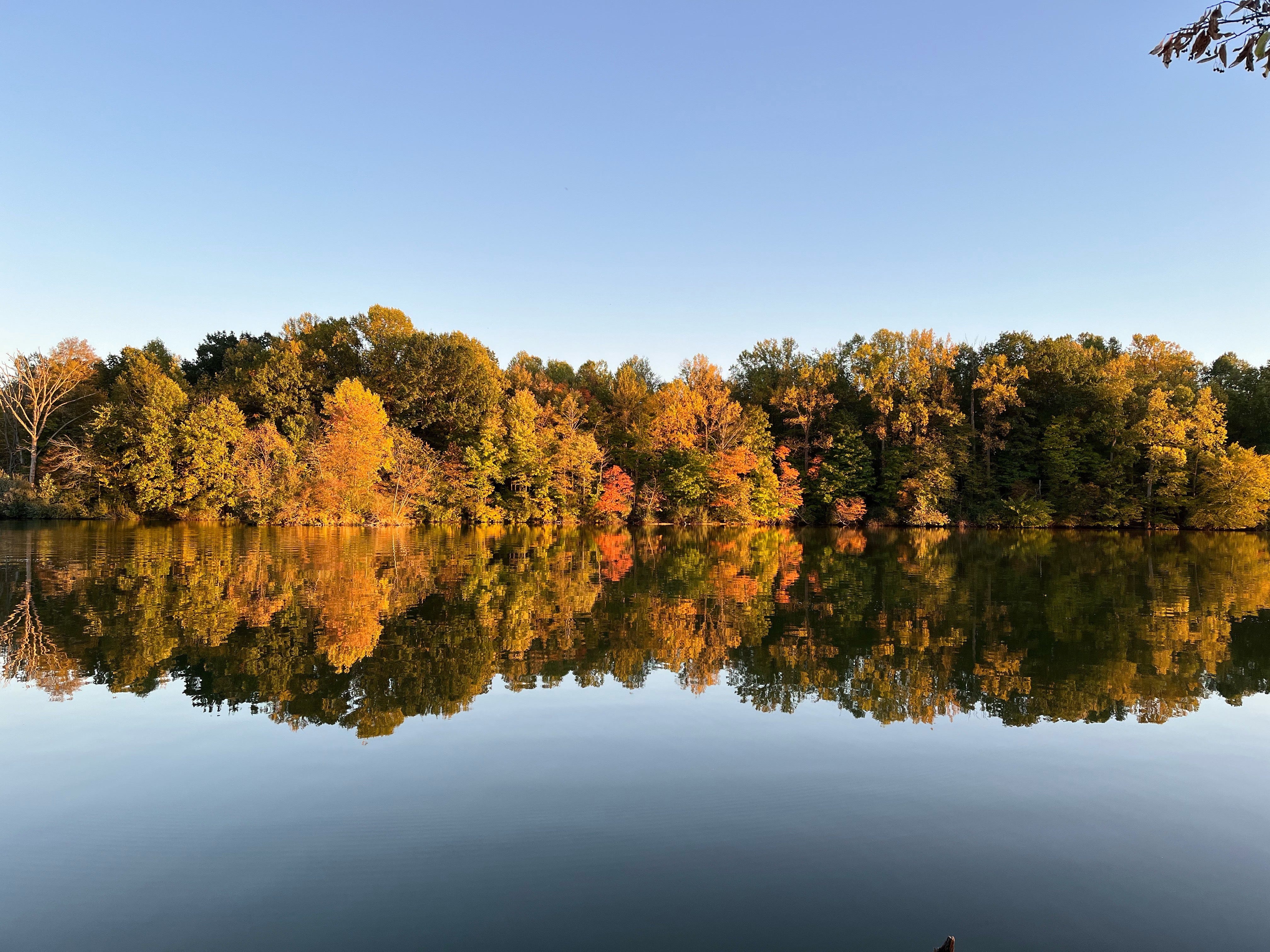Fall colors 2021: Here's what fall leaves look like across Indiana