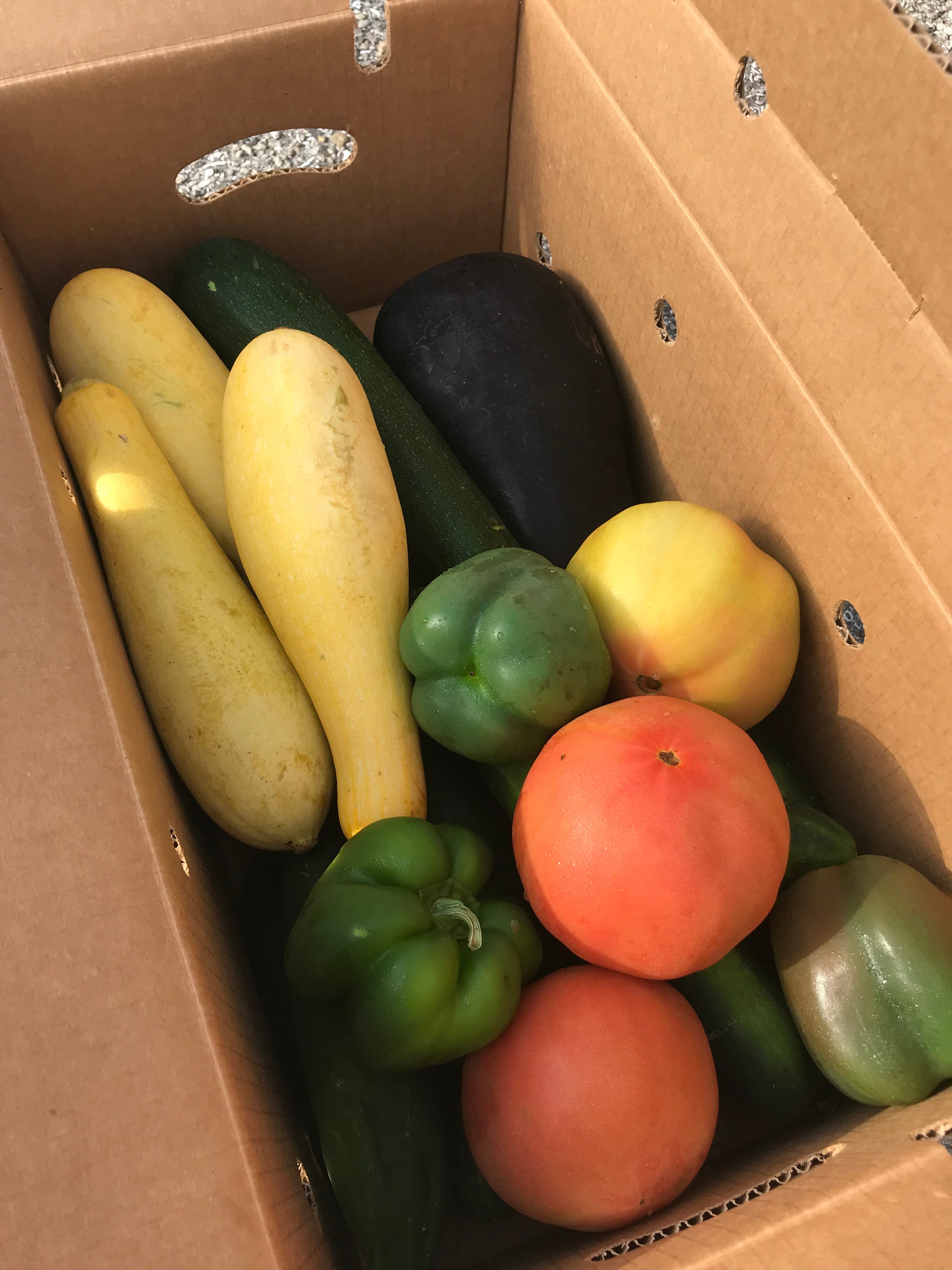 Hunger-related stress results in serious health consequences for kids, including negatively affecting brain development and chronic illnesses.