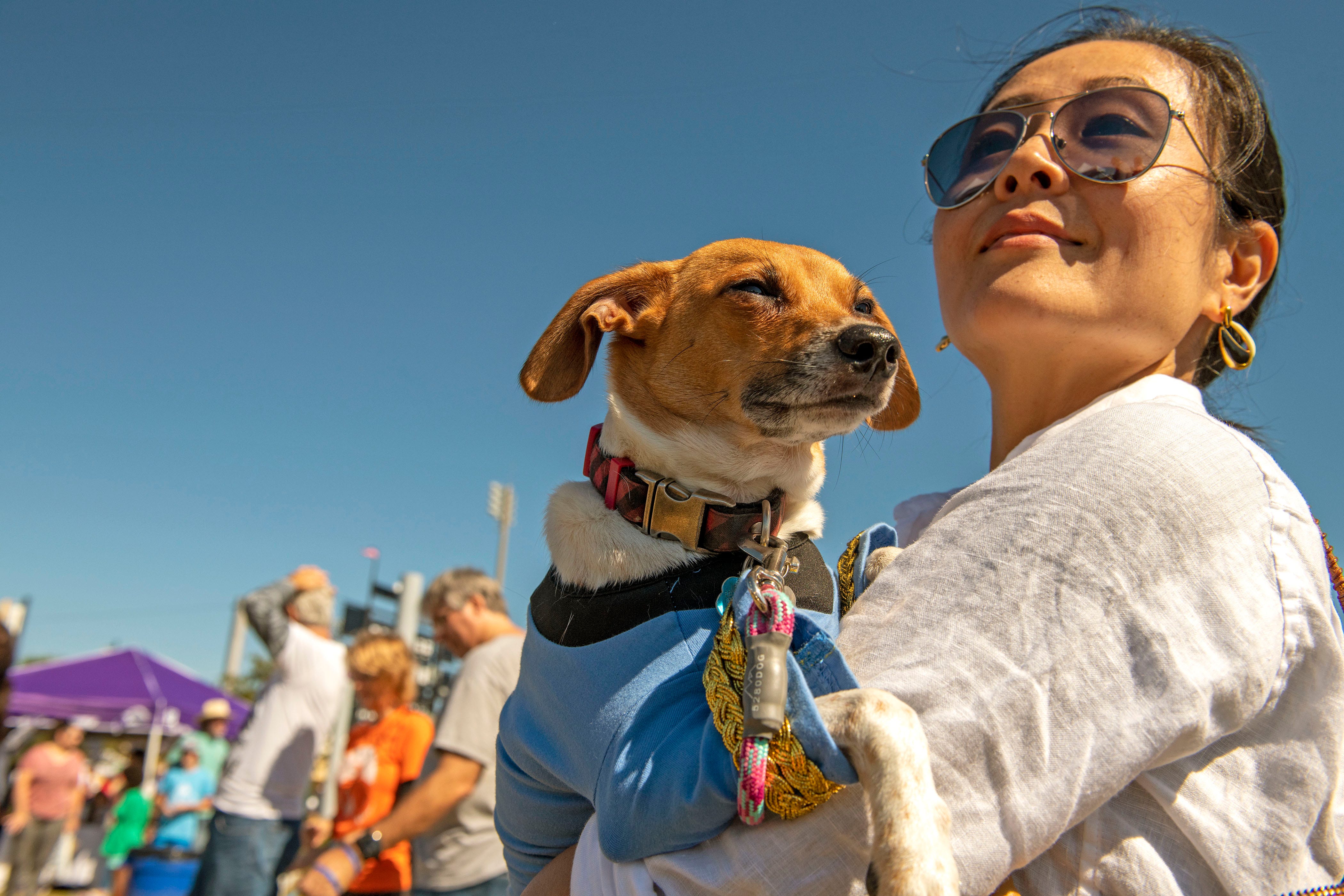 Barktoberfest Enters Year 10 Presented by Pensacola Humane Society