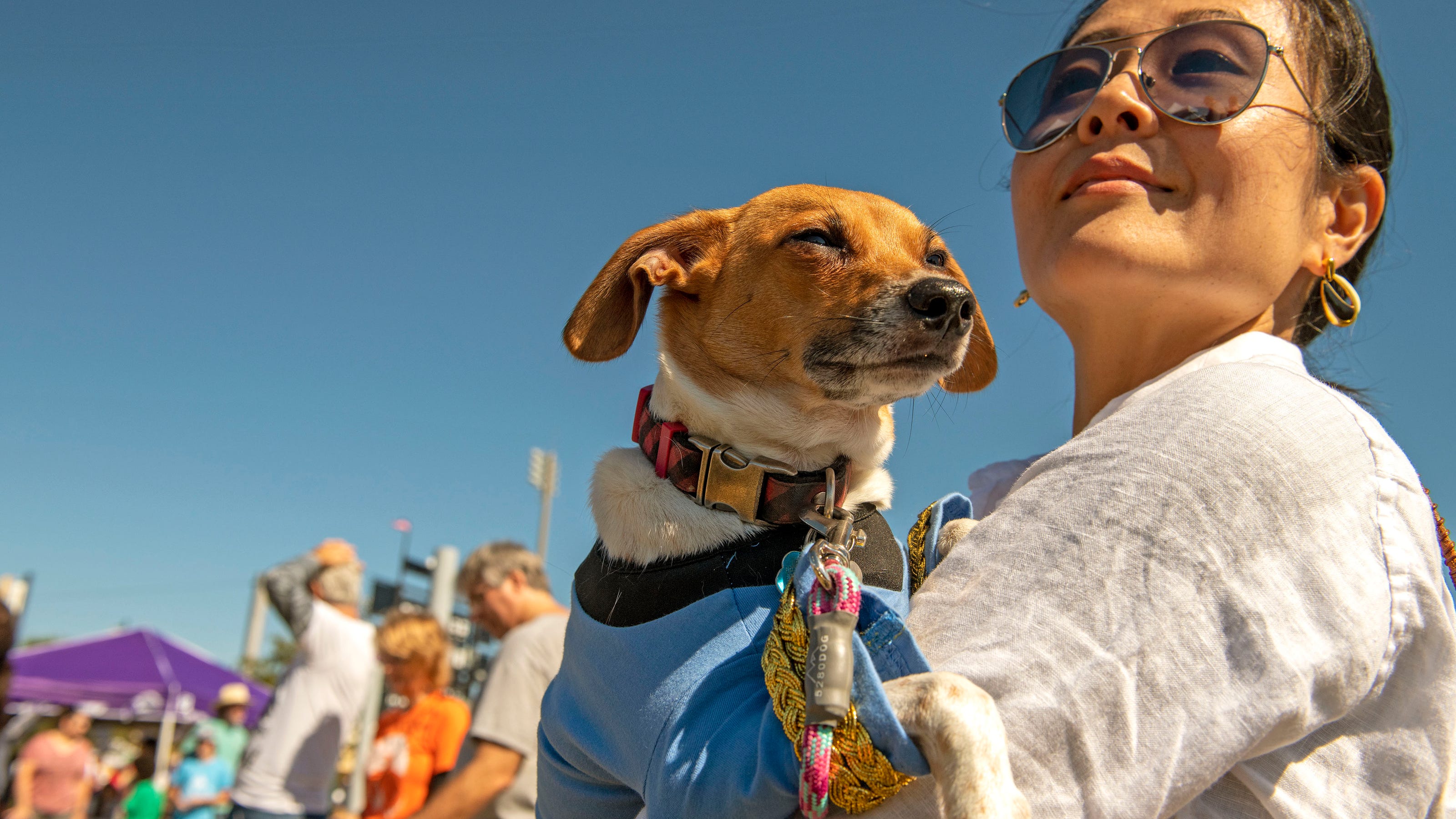 Pensacola Things To Do This Fall Festivals Holiday Celebrations More pensacola-things-to-do-this-fall-festivals-holiday-celebrations-more