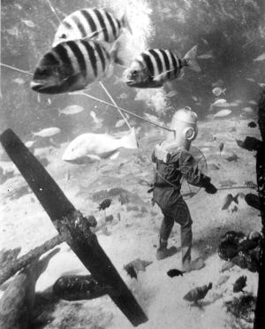 Divers at Marineland fed fish for tourists to view and also performed underwater maintence on the facility's two oceanariums. This dive occurred in 1947. One of the first divers at Marineland was Flagler County native Glenn Miller, who had served as a U.S. Navy demolition diver in World War II.