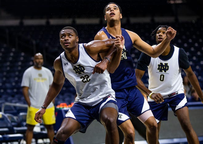 Notre Dame sophomore power forward Elijah Taylor may carve out a role this season if he can consistently rebound and defend.