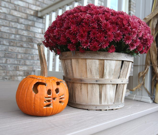Keeping pumpkins on a covered porch or displaying them from the inside in a window can extend their shelf life.