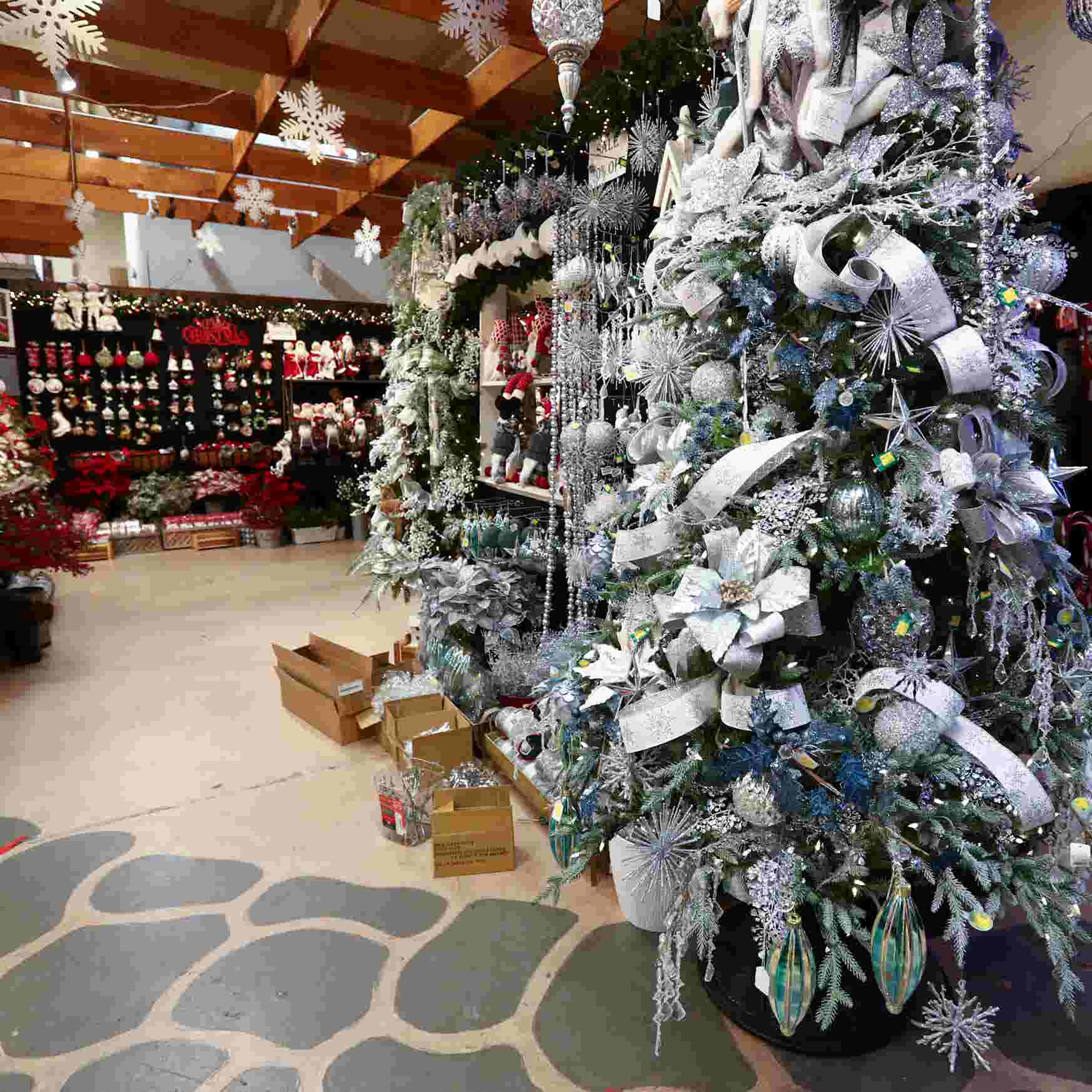 Christmas Tree Shortage 2022 New England New England Christmas Tree Sales Affected By Supply Chain Issues
