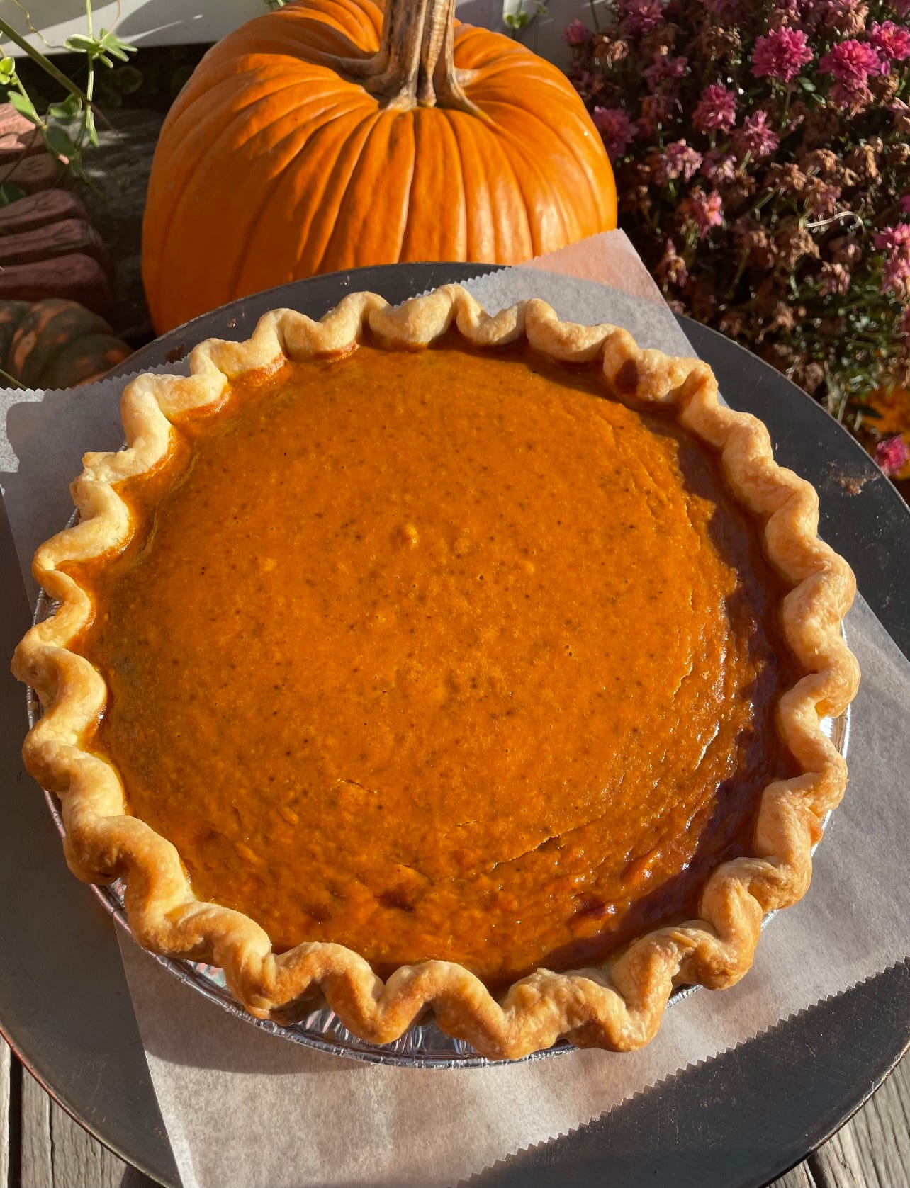 jersey shore bakeries