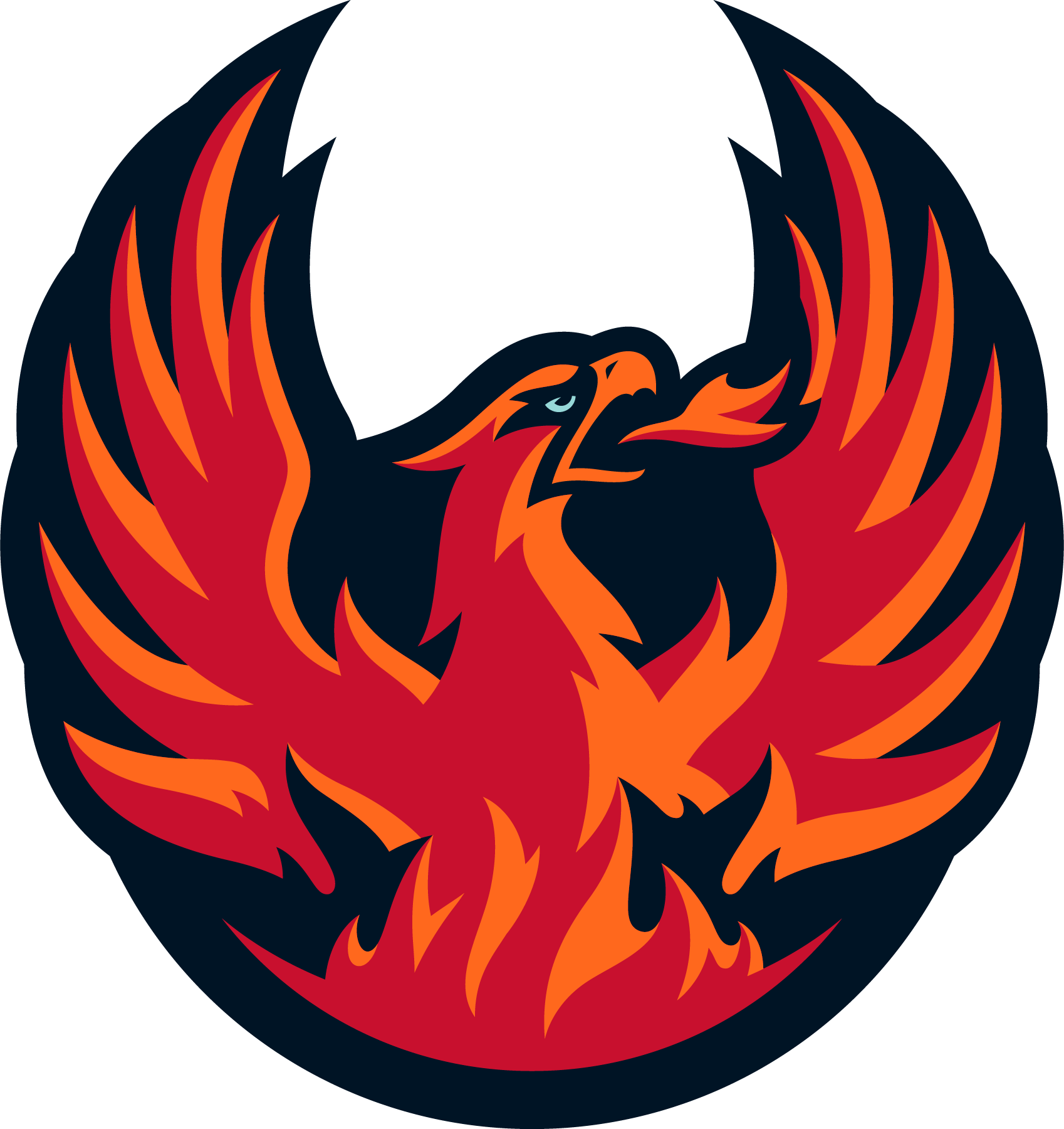 Firebirds Hockey Coachella Valley Firebirds hockey news