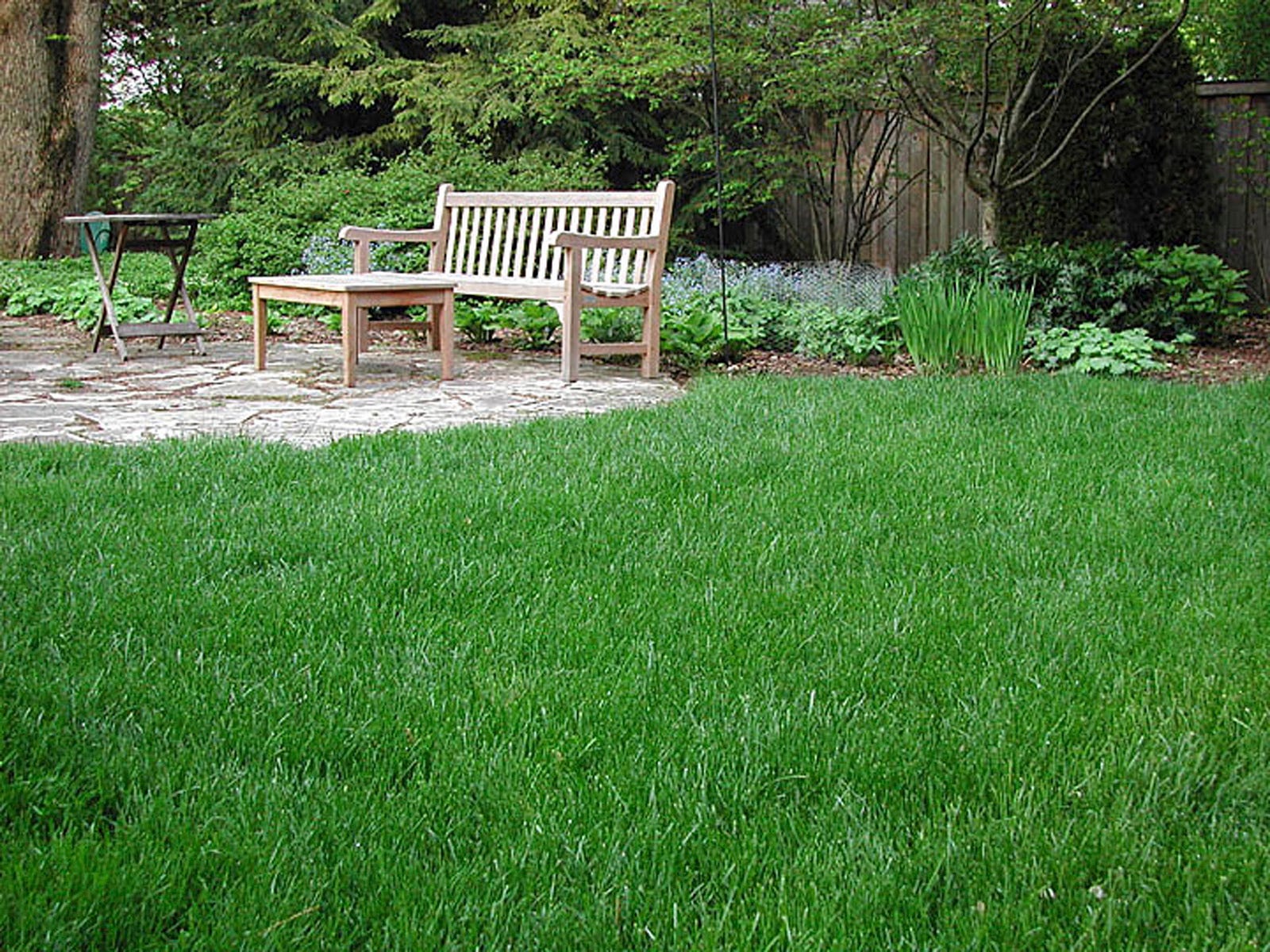 Gardening: Late fall fertilization and weed control are key to spring lawn growth