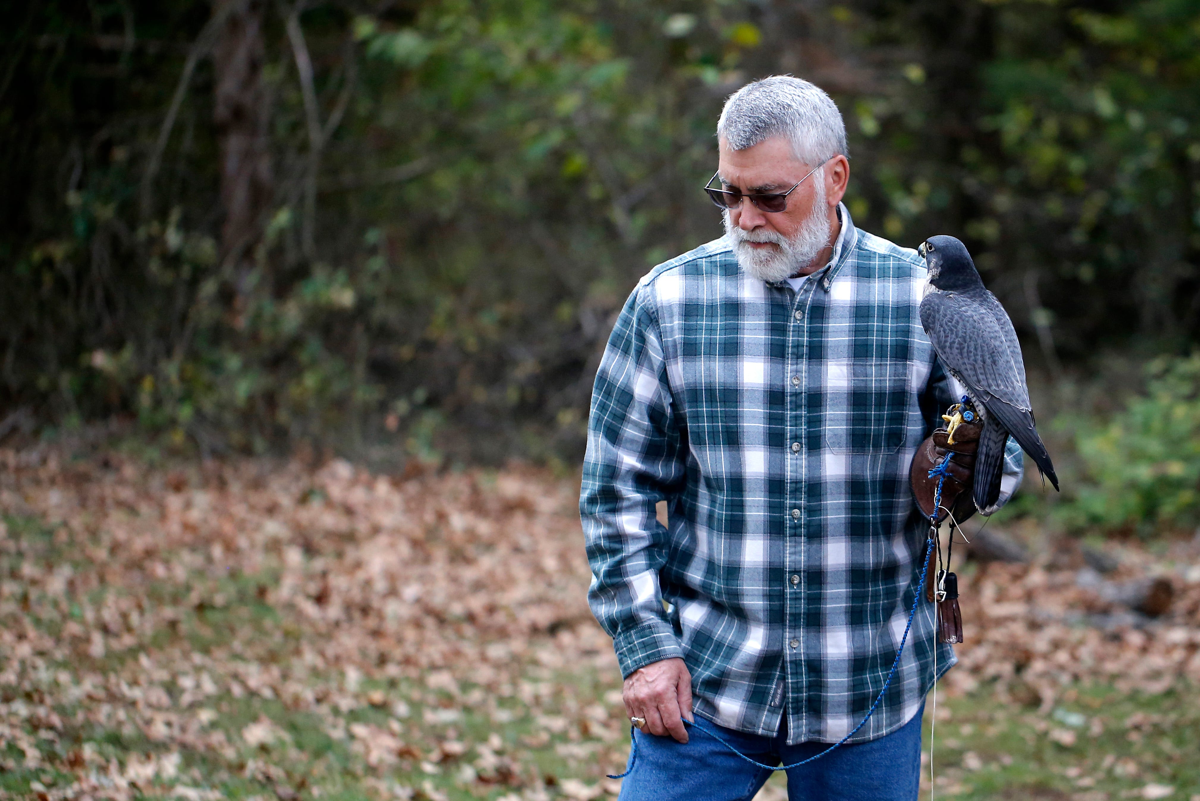 Falconry gives Oklahoma man a bird'seye view to hunting