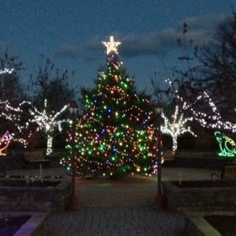 Holiday Lights in Bloom at the Arboretum in Montgo